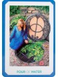Gaian Tarot by Joanna Powell Colbert